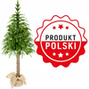 ŚWIERK PE ALASKA NA PNIU CHOINKA JAK ŻYWA SZTUCZNA 150cm PIĘKNY GĘSTY