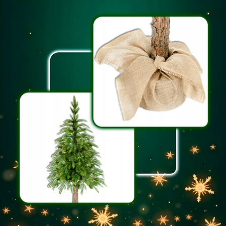 ŚWIERK PE ALASKA NA PNIU CHOINKA JAK ŻYWA SZTUCZNA 150cm PIĘKNY GĘSTY